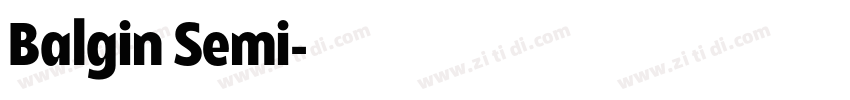 Balgin Semi字体转换 Balgin Semi字体转换